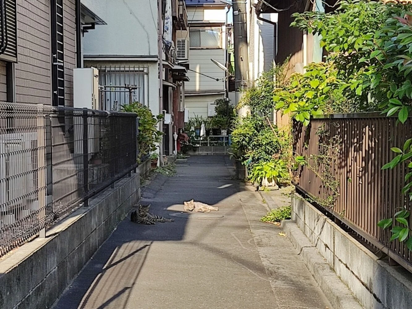 画像1593